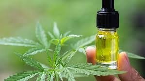 cbd businessnewstips.com