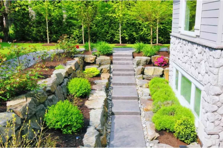 Sustainable and Eco-Friendly Backyard Maintenance